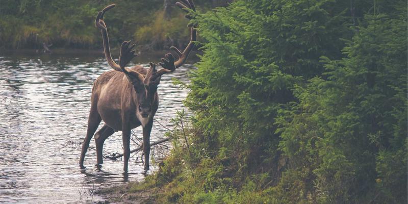 JHKHK74：构建信息门户与社区资源分享新生态的实践探索