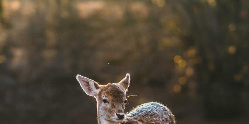 JHKHK77：以橙色主题打造活力信息门户，构建高效资源分享生态