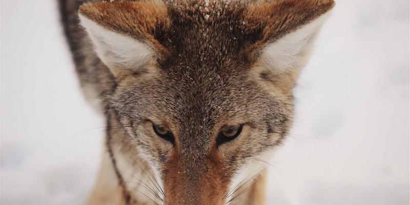 JHKHK86：在卡片布局中融入日式禅意的数字资源分享哲学