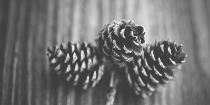 JHKHK一站式服务：从注册到运营的全周期信息门户支持与资源分享