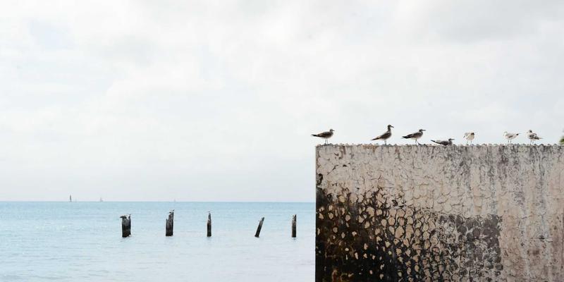 JHKHK使用全攻略：在信息门户中体验日式禅意与高效资源分享