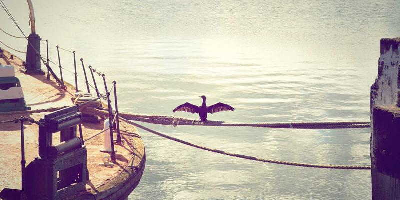 JHKHK信息门户卡片布局：透视香港债券市场发展与中小企业融资新路径