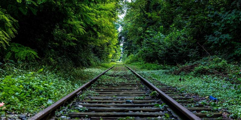 JHKHK案例深度解析：如何用卡片布局打造高粘性社区信息门户