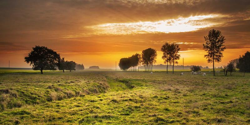 数据驱动下的香港商业地产投资新趋势：信息门户、卡片布局与日式禅意的融合之道