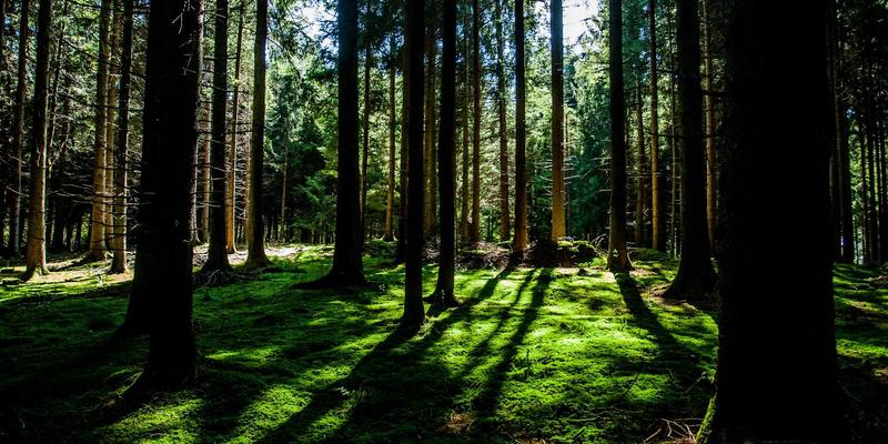 香港财资中心深度解析：税务优化与运营优势的资源共享门户